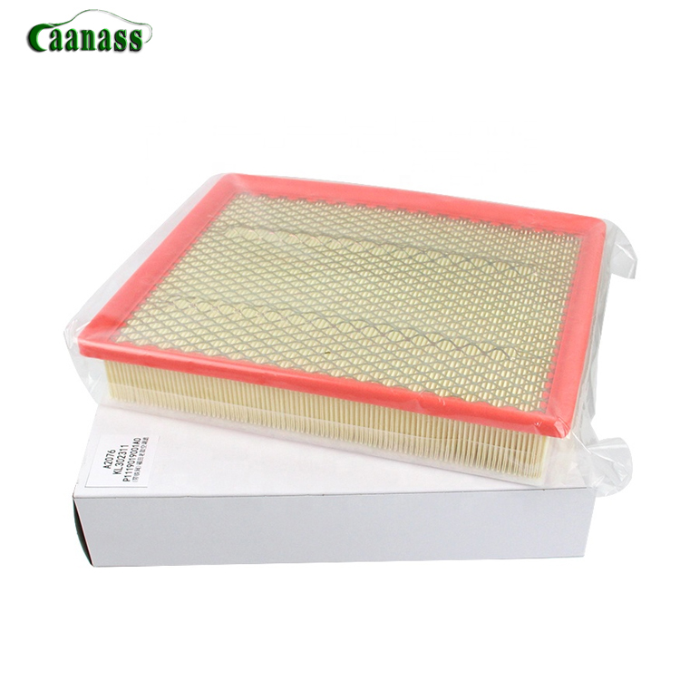 Air Filter P1119019001A0